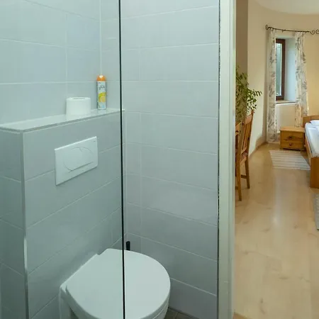 Apartment Nemes *
